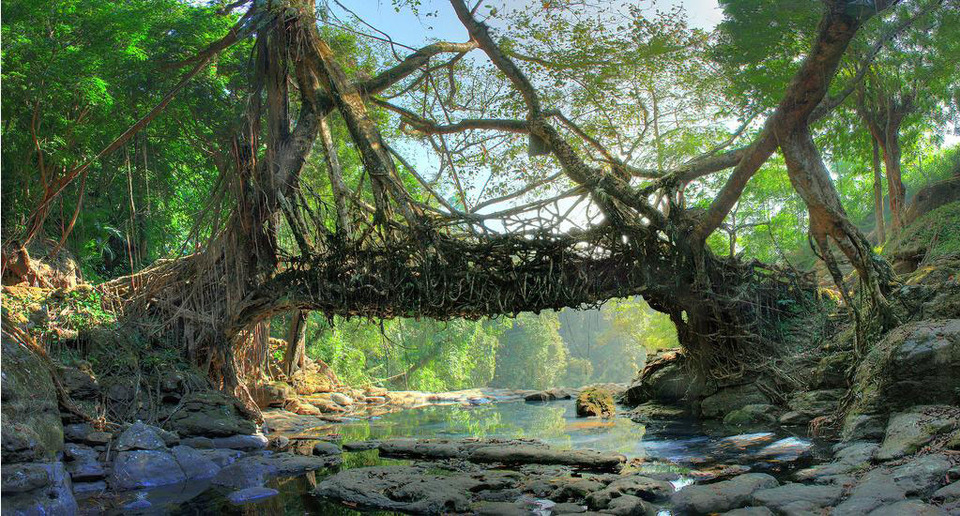 Assam Meghalaya Cultural Journey Image