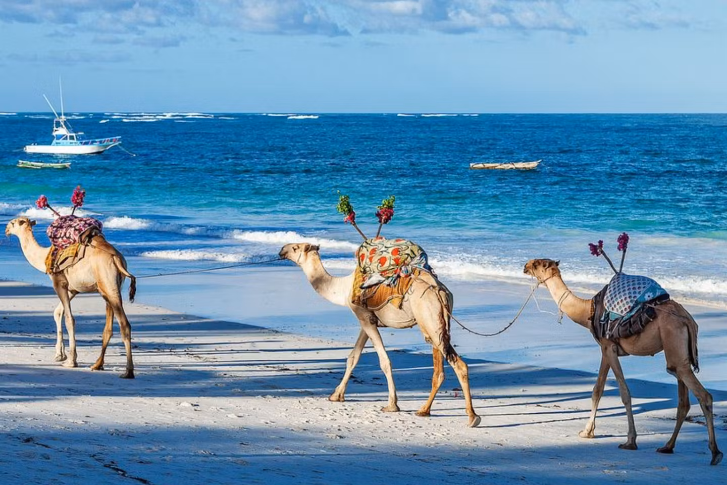 Kenya Wildlife Safari Image