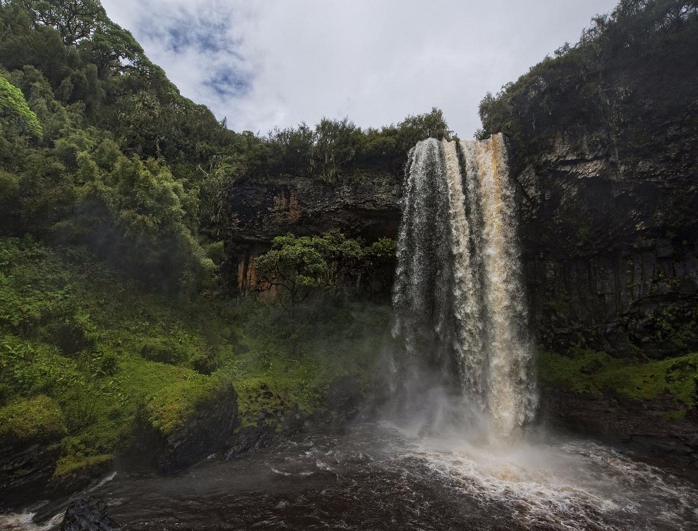 Kenya Wildlife Safari Image