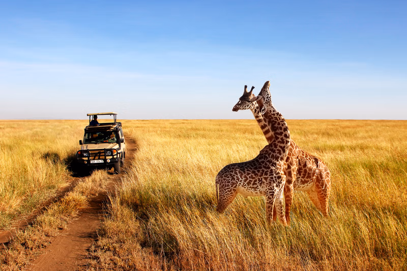 Tanzania Safari and Beach Adventure Image